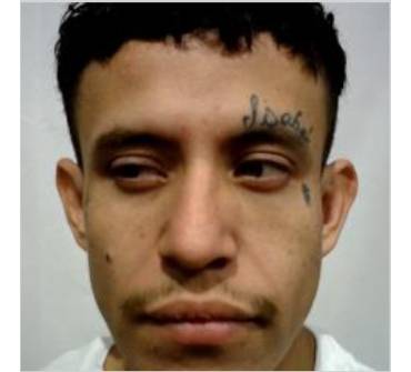 Carlos Vasquez-Padilla